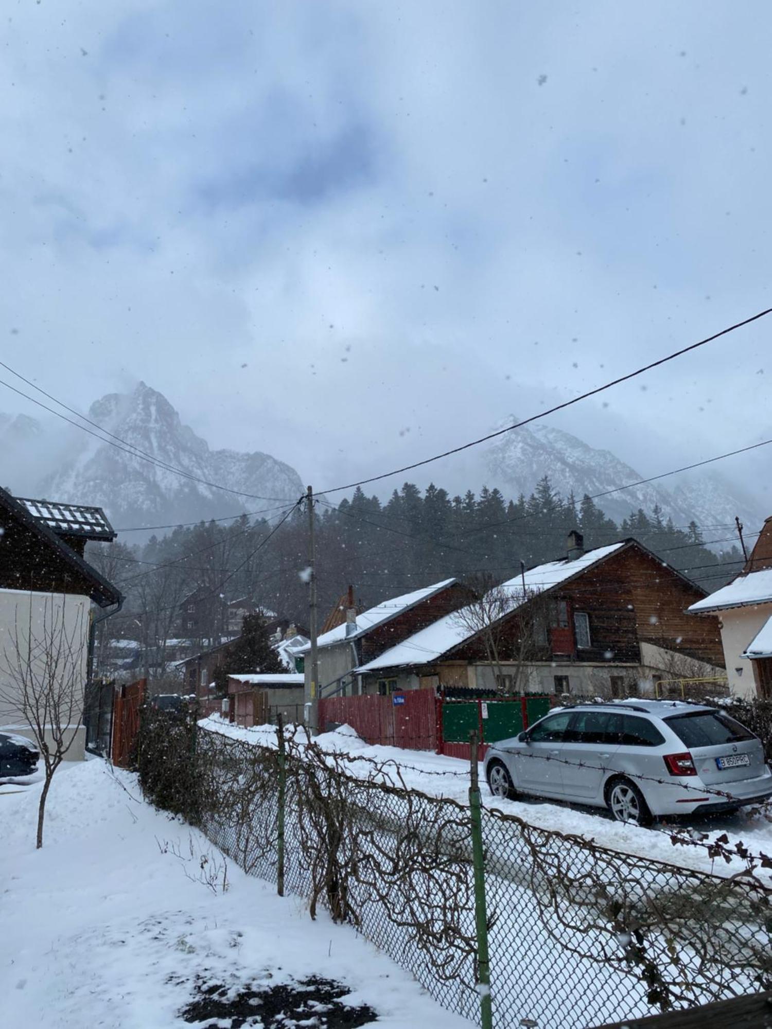 Casa Mimi Villa Buşteni Buitenkant foto